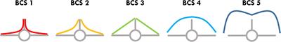 The influence of different examiners on the Body Condition Score (BCS) in South American camelids—Experiences from a mixed llama and alpaca herd